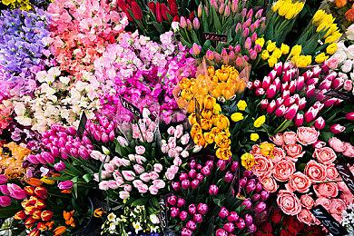 就在今天，来《因果动物园》传播爱与善